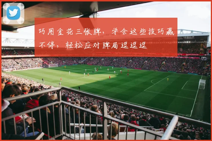 巧用金花三张牌，学会这些技巧赢不停，轻松应对牌局逗逗逗
