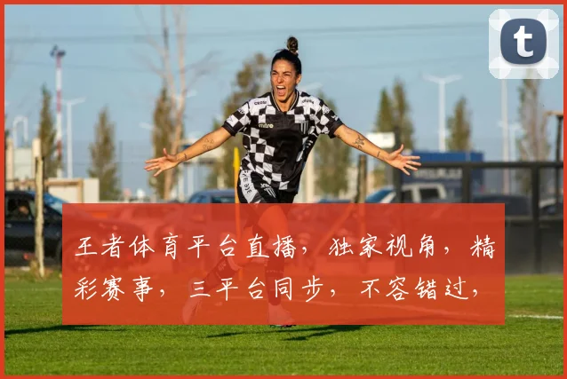 王者体育平台直播，独家视角，精彩赛事，三平台同步，不容错过，尽在掌握