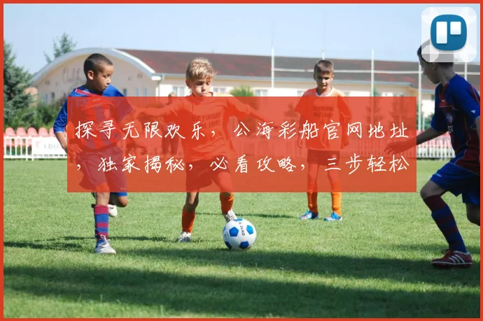 探寻无限欢乐，公海彩船官网地址，独家揭秘，必看攻略，三步轻松入门