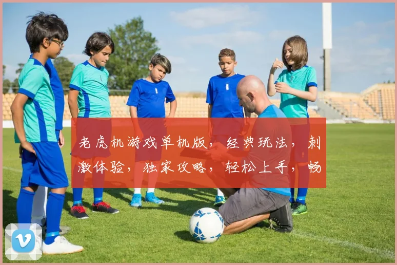 老虎机游戏单机版，经典玩法，刺激体验，独家攻略，轻松上手，畅玩不停