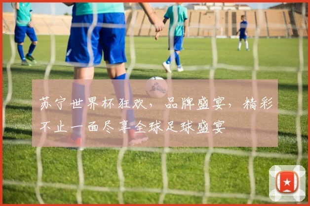 苏宁世界杯狂欢，品牌盛宴，精彩不止一面尽享全球足球盛宴