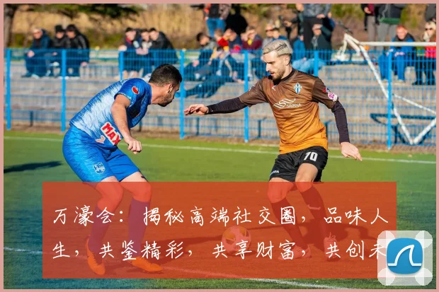 万濠会：揭秘高端社交圈，品味人生，共鉴精彩，共享财富，共创未来